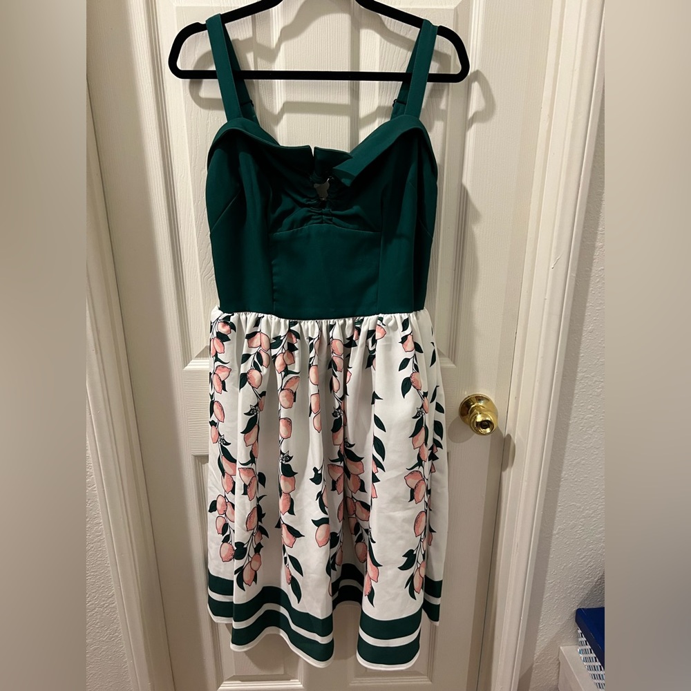Large EUC Pinup Girl Clothing Linda in Pink Lemons